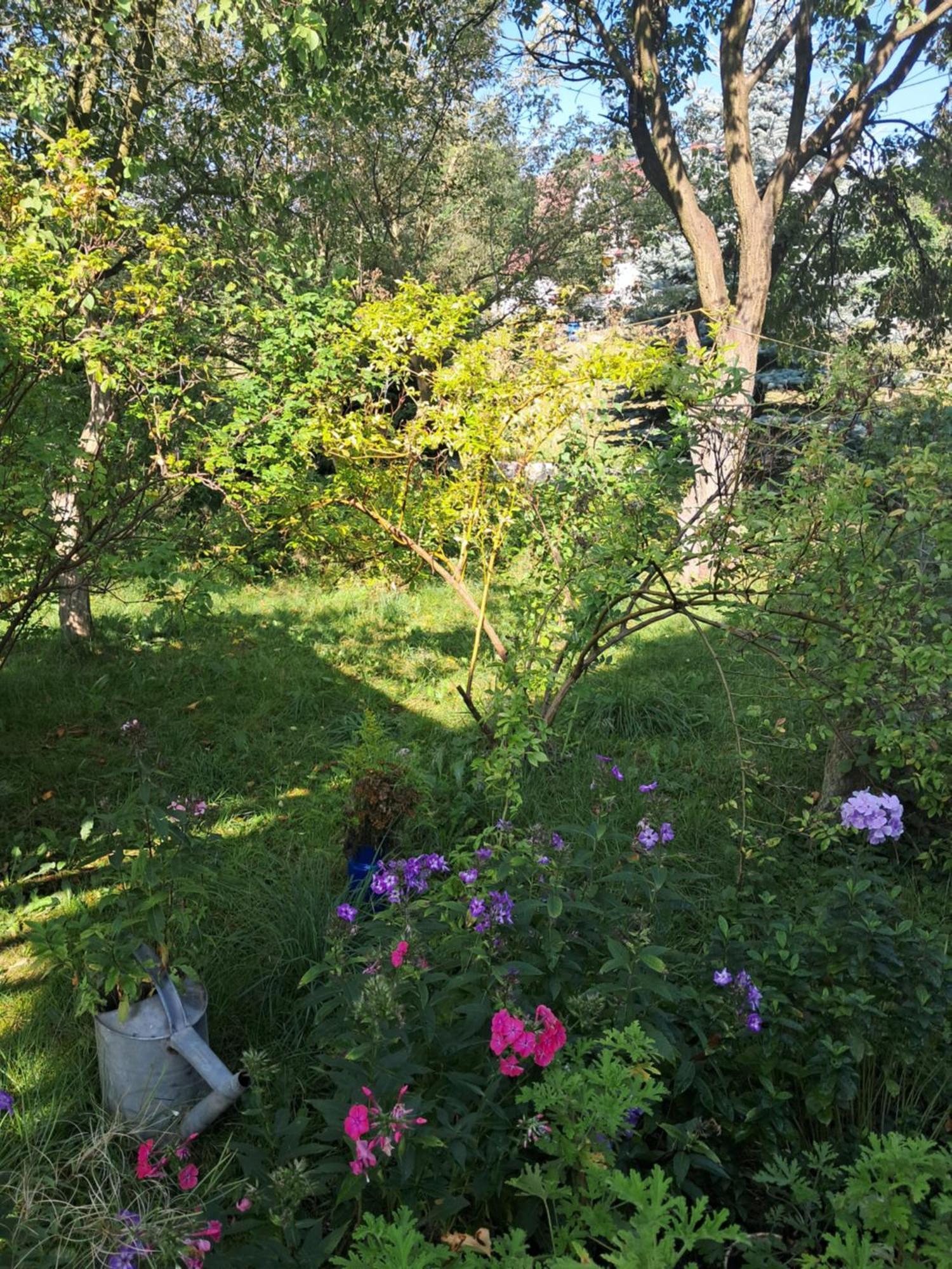 Przytulia Blekitny Apartment Kopaniec Bagian luar foto